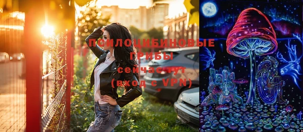 гашик Алзамай