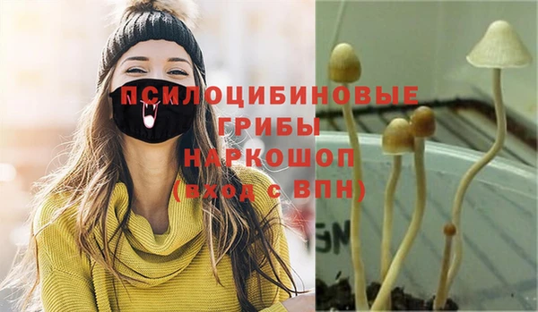 гашик Алзамай