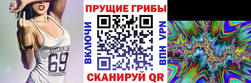 kraken рабочий сайт  Уяр  Псилоцибиновые грибы Magic Shrooms 